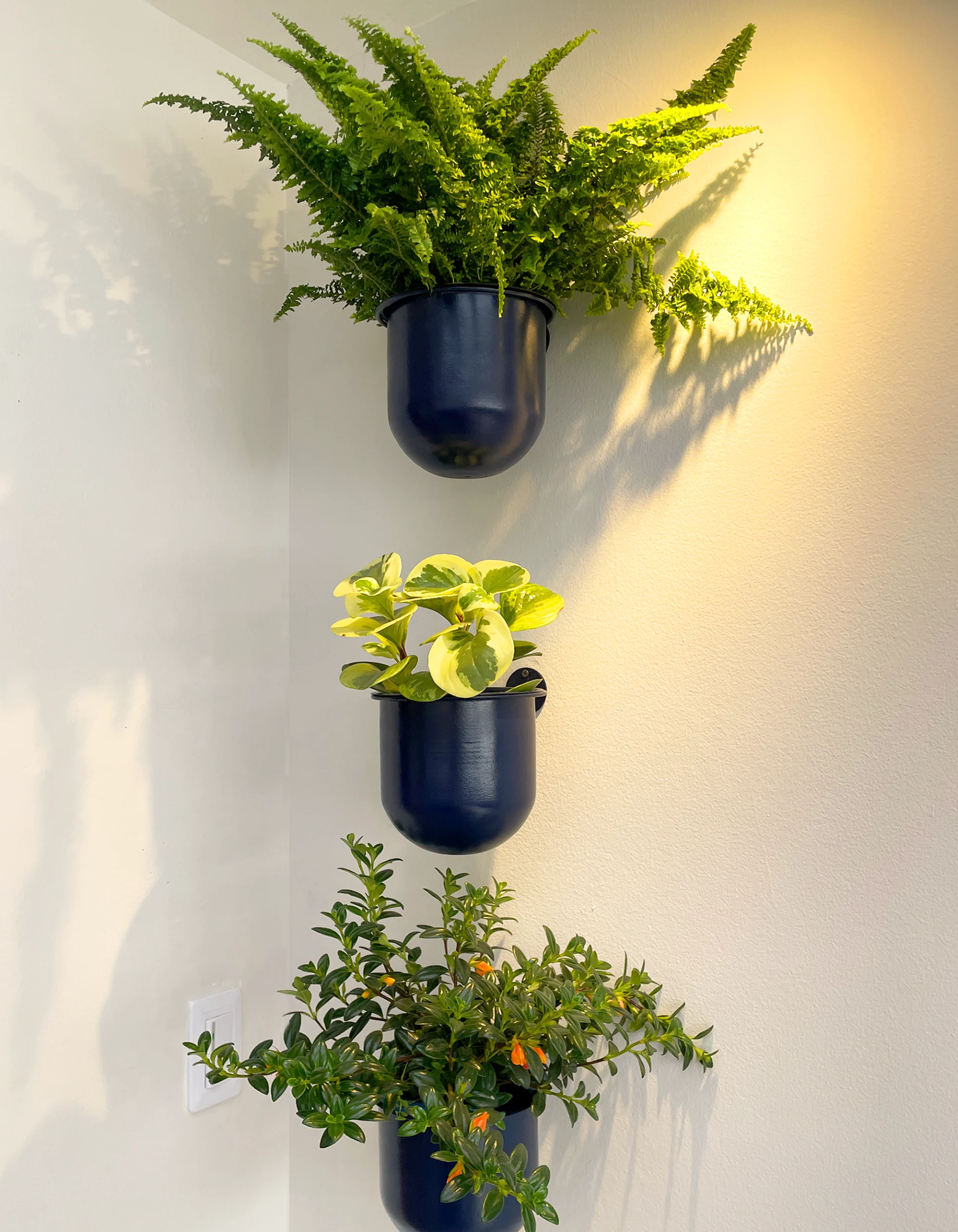 Mesa de trabajo 5 copia