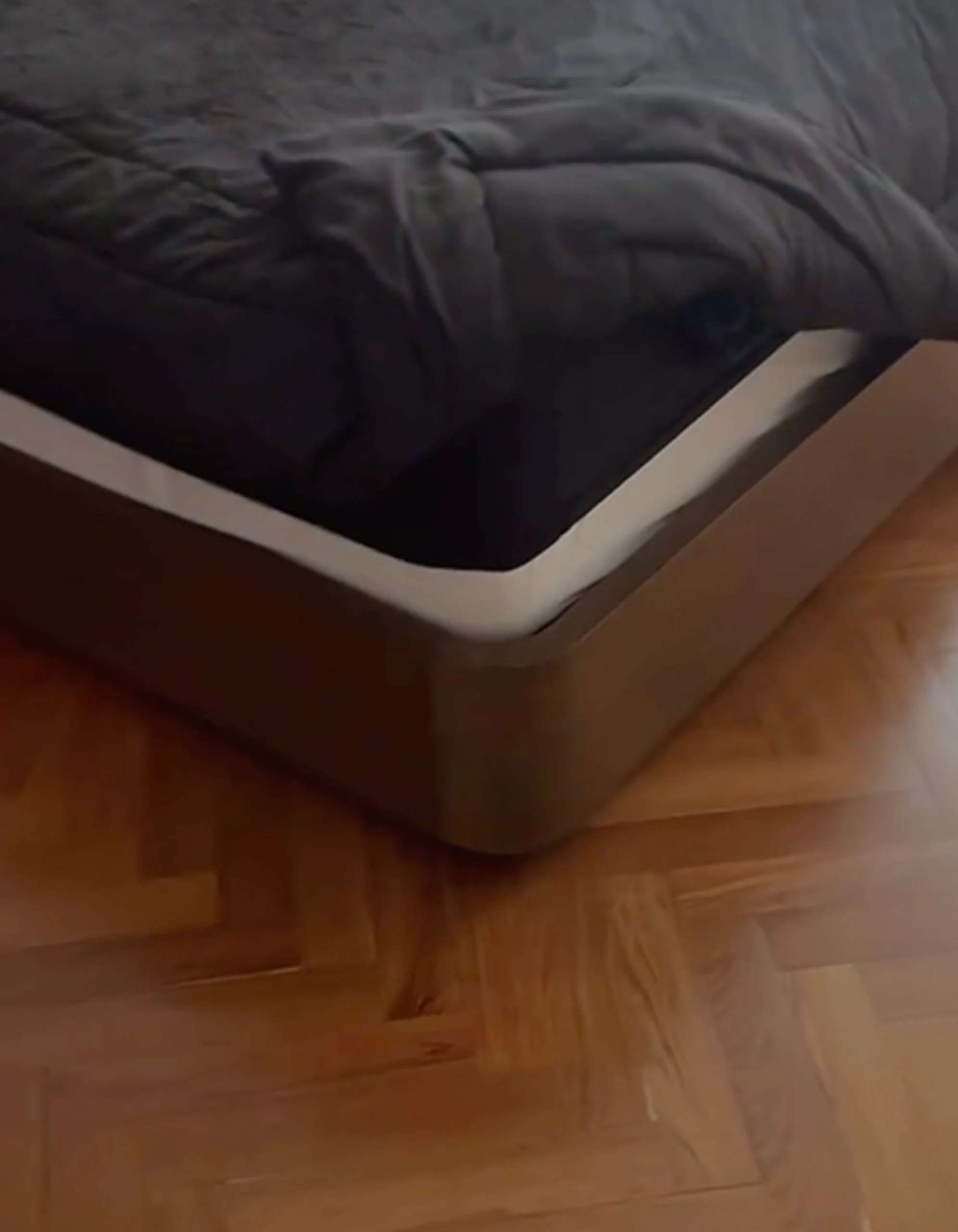 Mesa de trabajo 5 copia 5